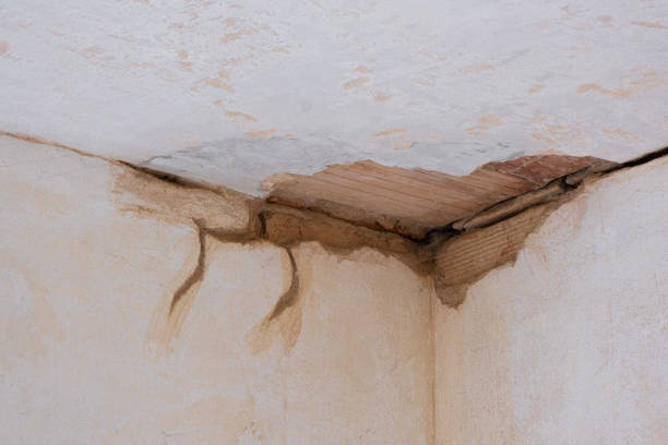 Best Sewage cleanup and water damage restoration  in Mount Clemens, MI