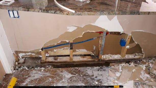 Best Professional water damage repair  in Mount Clemens, MI