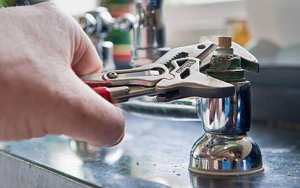 Best Flooded house restoration  in Mount Clemens, MI