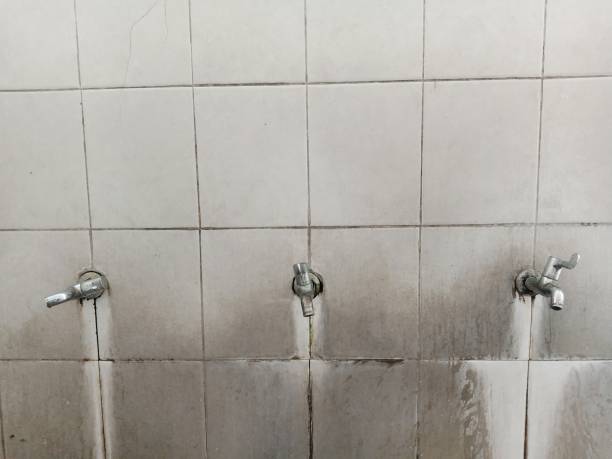 Best Carpet water damage restoration  in Mount Clemens, MI