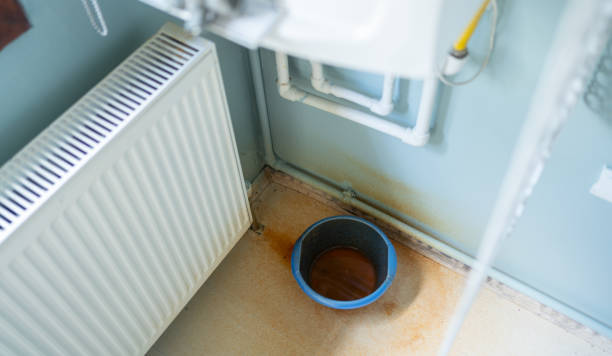 Best Fire Damage Restoration  in Mount Clemens, MI