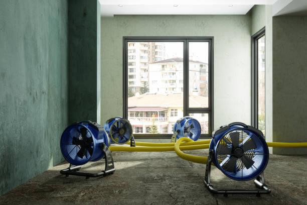 Best Emergency water damage restoration  in Mount Clemens, MI