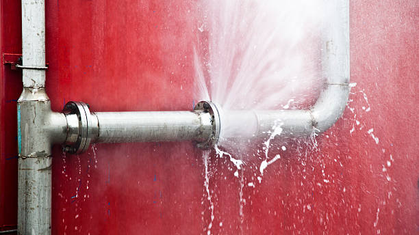 Best Water damage restoration near me  in Mount Clemens, MI