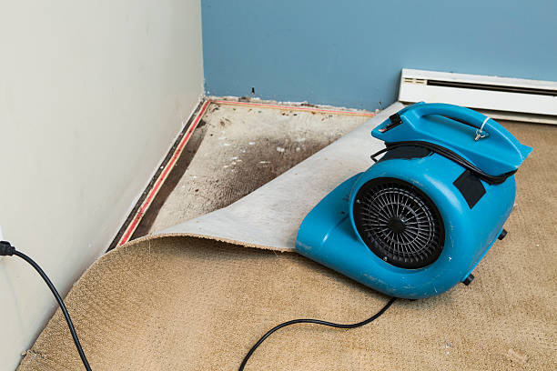 Best Emergency water damage restoration  in Mount Clemens, MI